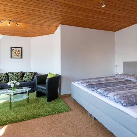 Hauk Apartment *
