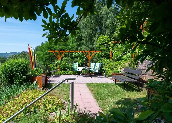 Hauk